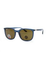 عینک آفتابی پلاریزه ری‌بن ویفرر Visiorra Wayfarer مدل SG-RB4386 خرید اقساطی - Image 13
